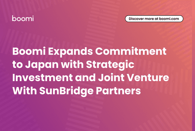 boomi-sunbridge-partners