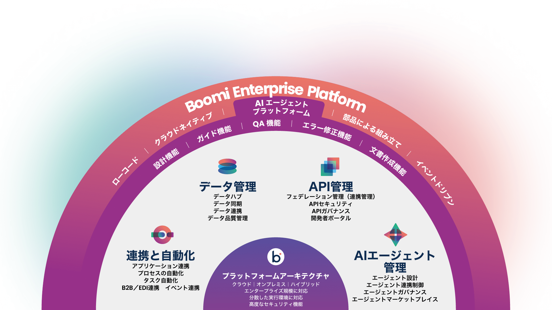 Boomi Platform Overview Fan