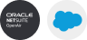 NetSuite OpenAir di Boomi con la ricetta per il marketing di Salesforce