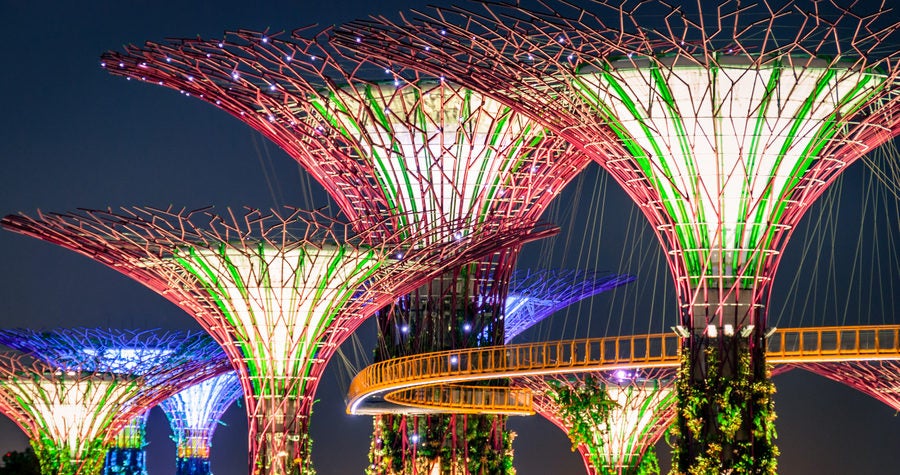 Gardens by the Bay 'Supertrees' lit up at night in Singapore City