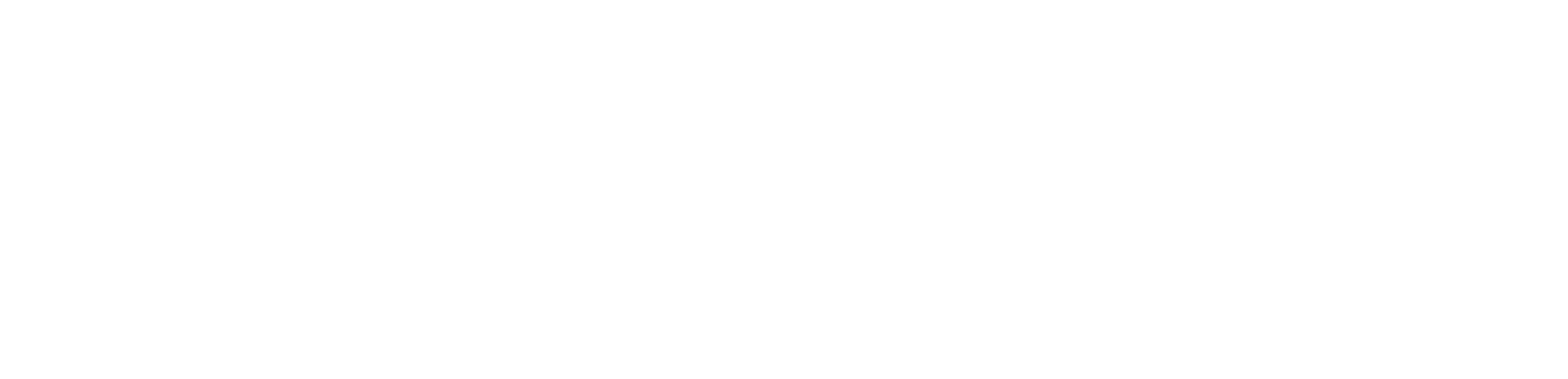Boomi World Tour Sydney Logo