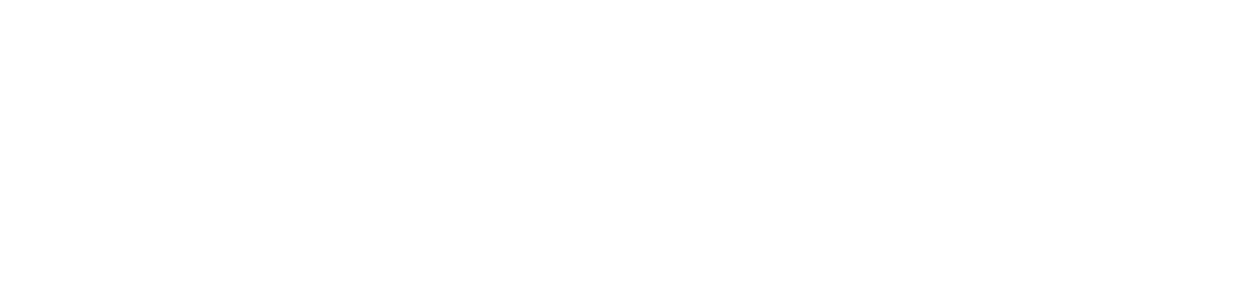 Boomi World Tour Logo