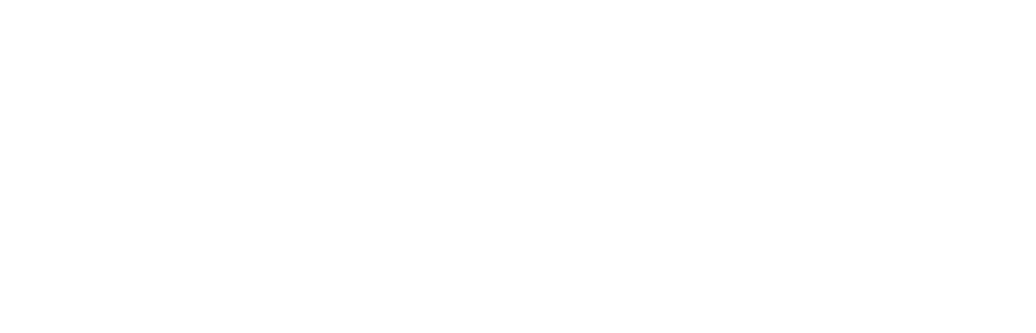 Boomi ロゴ