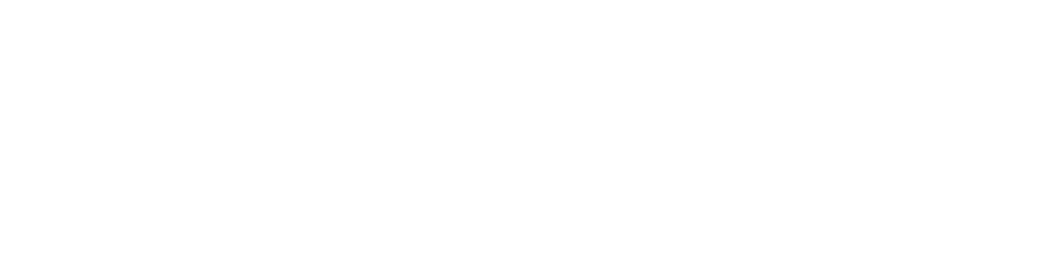 Boomi World Tour Logo